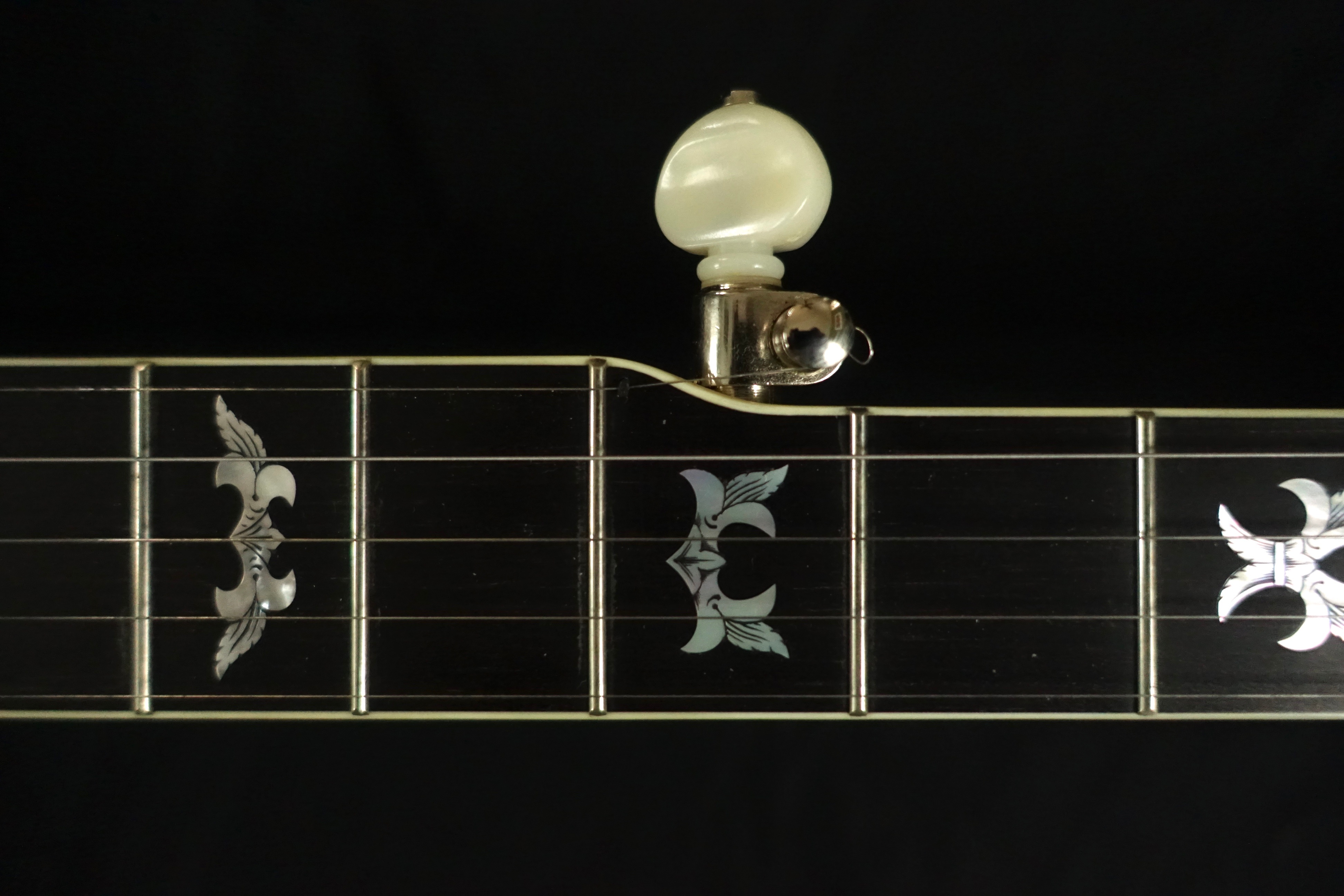 Define Your Banjo Set Up