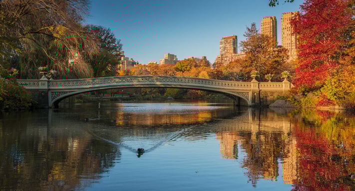 2. City Parks.jpg
