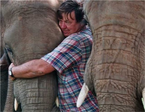 Rory Hensman with his Elephants