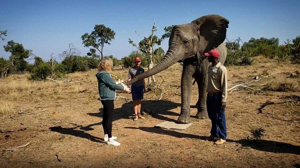 Jamie Deering with her Goodtime Banjo at Adventures With Elephants 